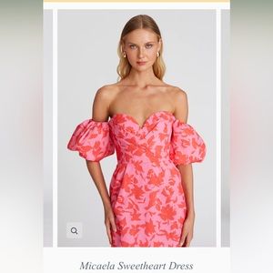 Amur Micaela Printed Sweetheart Dress